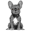 Bouledogue français