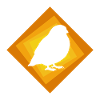 Perruche Oiseau Illustration Oiseau
