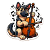 German Shepherd playing Cello