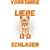 Hund Yorkshire Terrier