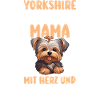 Dog Yorkshire Terrier