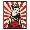 Kommunister Propaganda Socialister Gris