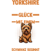 Dog Yorkshire Terrier