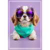 Cute cavalier puppy with sunglasses