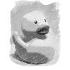 Gray duck