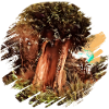 Old Tree