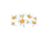 Granddaughter Gifts