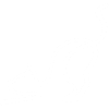 Esquisse du chat blanc