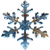 Snowflake