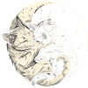 Yin-Yang Symbol with Cats