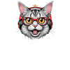 Cat Music Design