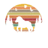 Shetland Pony Retro