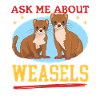 Weasel Hermännchen Mouse Weasel Gift