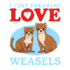 Weasel Hermännchen Kleinwiesel Gift