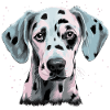 Cute Dalmatian