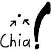 Chia Samen