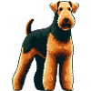 Airedale Terrier