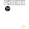 PHOENIX Engine