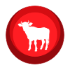 Vache Taureau Vache