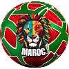 The Lions of Morocco