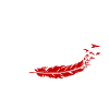 Ich bin Boho - Basic Vibes