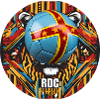 Les Léopards de la RDC
