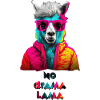 No drama lama / your alpaca