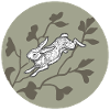 Rabbit on the moon