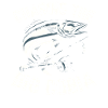 Cobia Angeln Liebhaber Fischfänger Fischer