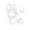 I Have Standards