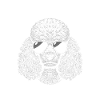 Poodle Daddy