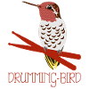 Hummingbird Drumsticks Hummingbirds