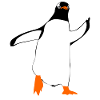 Pingouin doigt pingouin