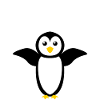 Pingouin pingouins mignons