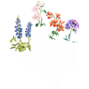 Wildflower Fields Wildflowers Bluebonnet