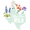 Wildflower Fields Wildflowers Bluebonnet