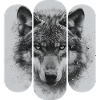 Triptychon Schwarz-Weißer Wolf