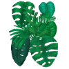 tropical plants