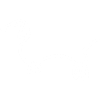 Esquisse du chien blanc