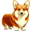 Corgi