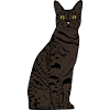 Cat Gift T-shirt