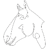 Pferdekopf Cantor