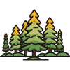 Forest, Trees, Nature