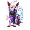 Cyber Dog