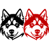 Akita Dog Head