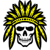 Apache Indian Chief Skull