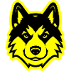 Akita Dog Head