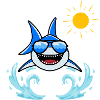 Shark in the sun