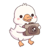Cute Baby Goose With Camera