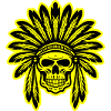Apache Indian Chief Skull